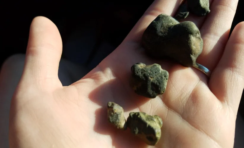 Side Effects of Weed – What Patients and Families Should Know