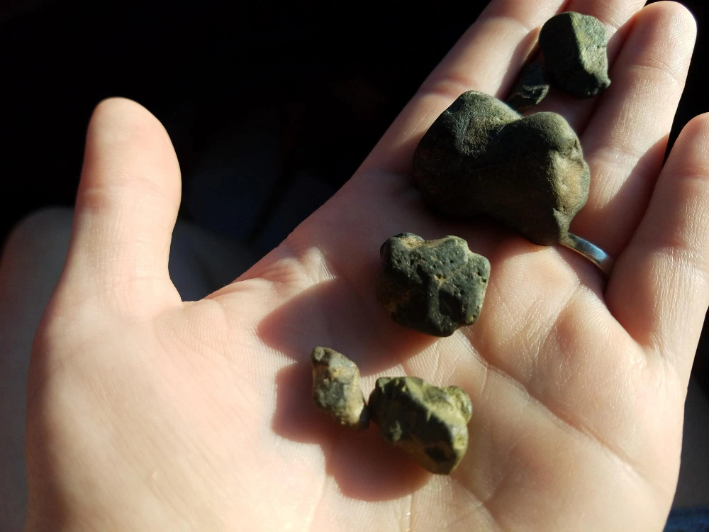 Side Effects of Weed – What Patients and Families Should Know